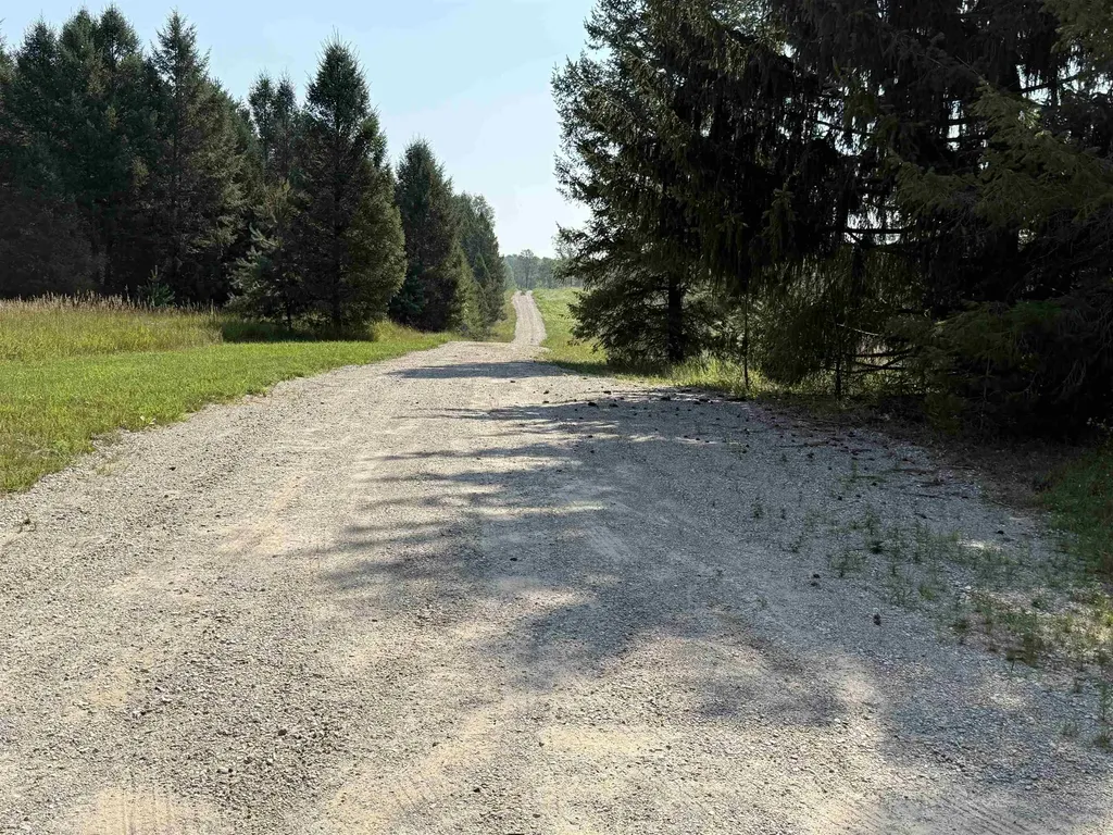 Parcel A 8 S Bright Road Kasson Township MI 49664
