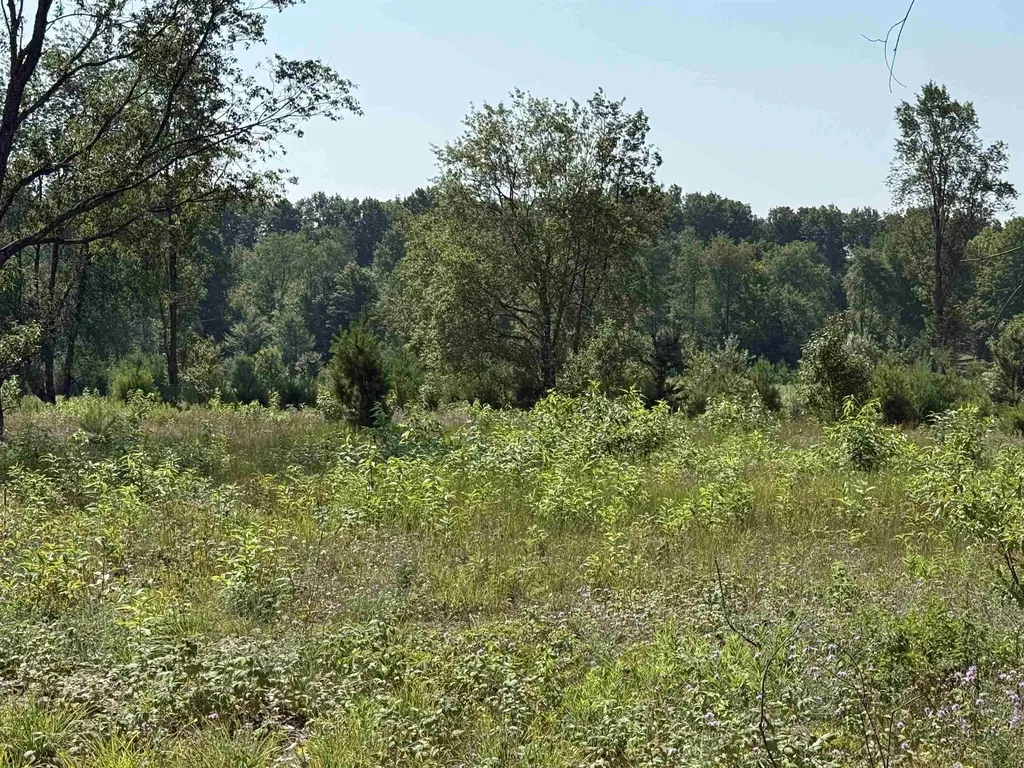 Parcel A 8 S Bright Road Kasson Township MI 49664