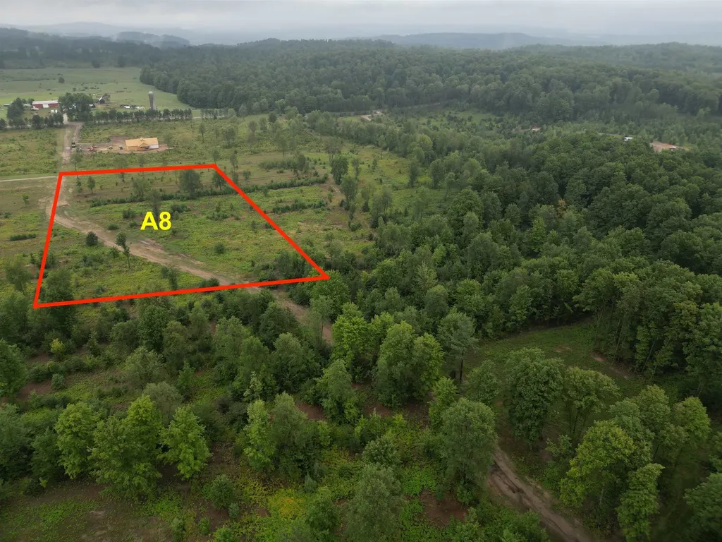 Parcel A 8 S Bright Road Kasson Township MI 49664