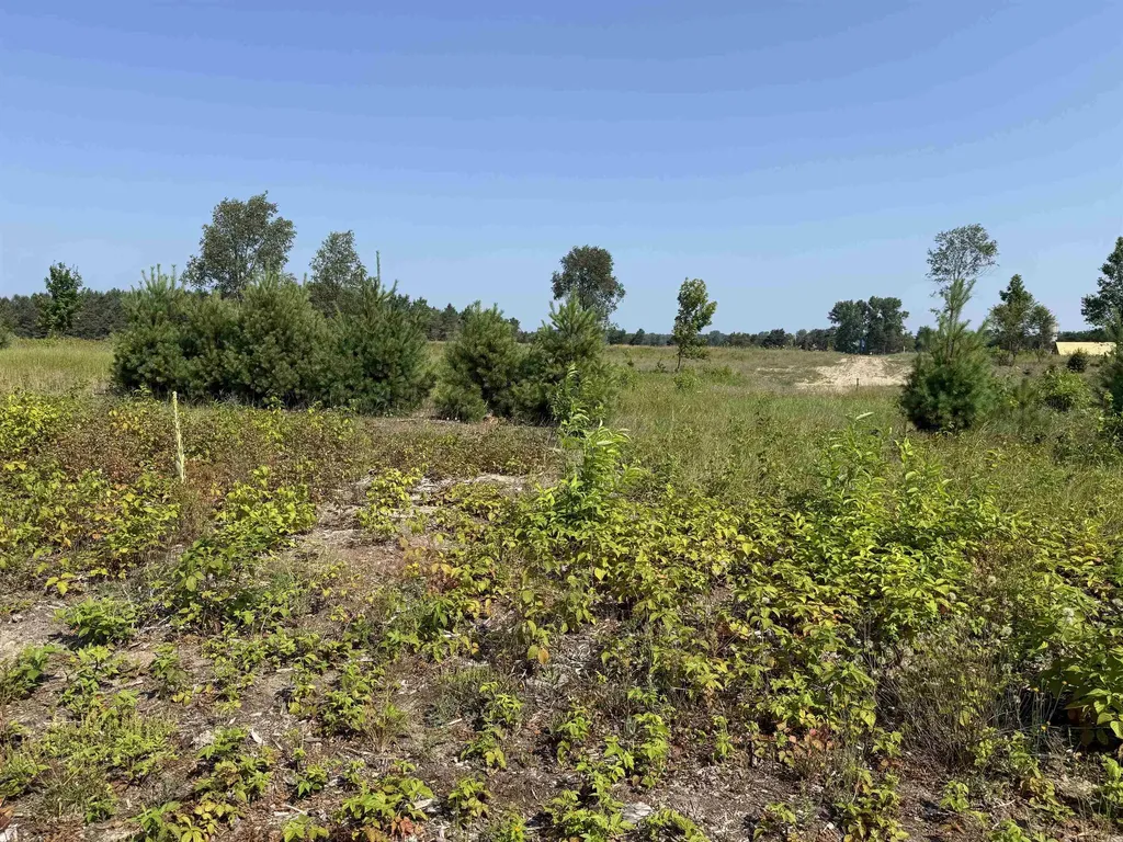 Parcel A 8 S Bright Road Kasson Township MI 49664