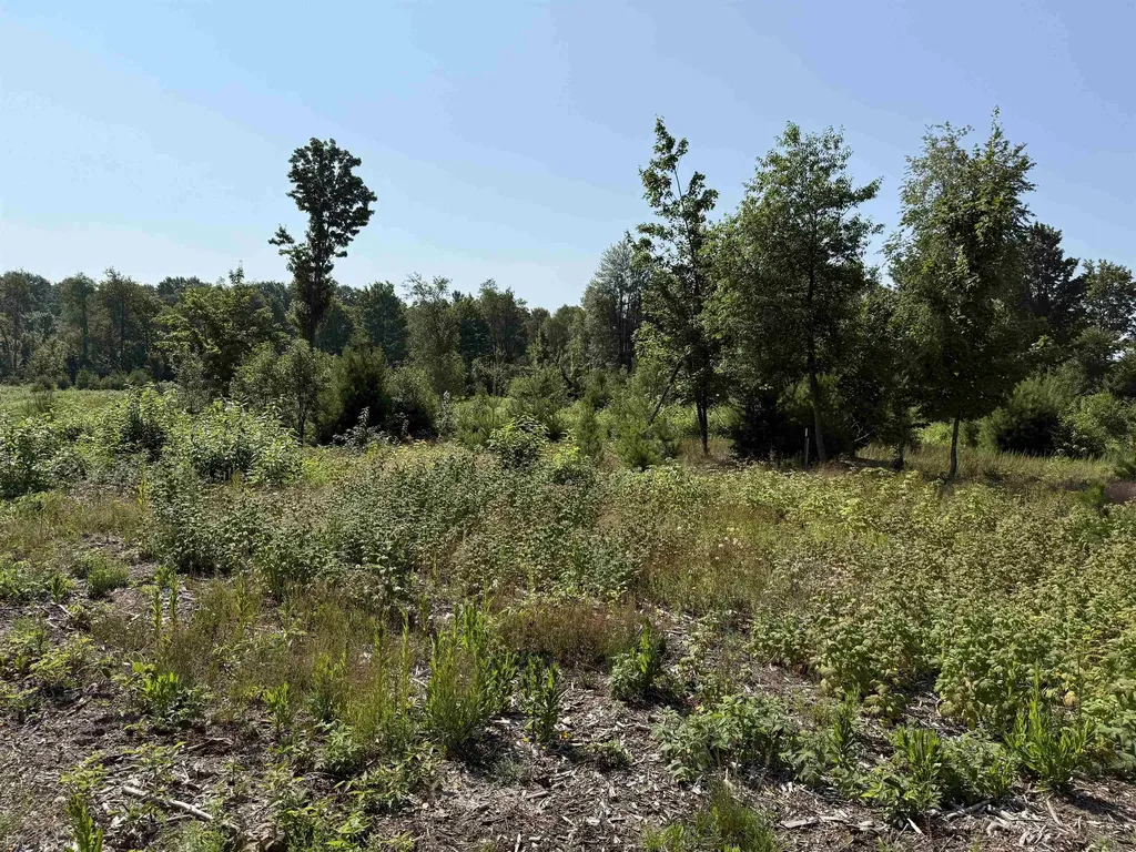 Parcel A 8 S Bright Road Kasson Township MI 49664