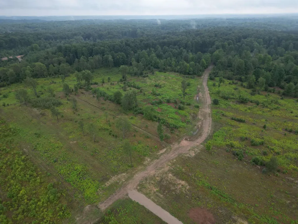 Parcel A 8 S Bright Road Kasson Township MI 49664