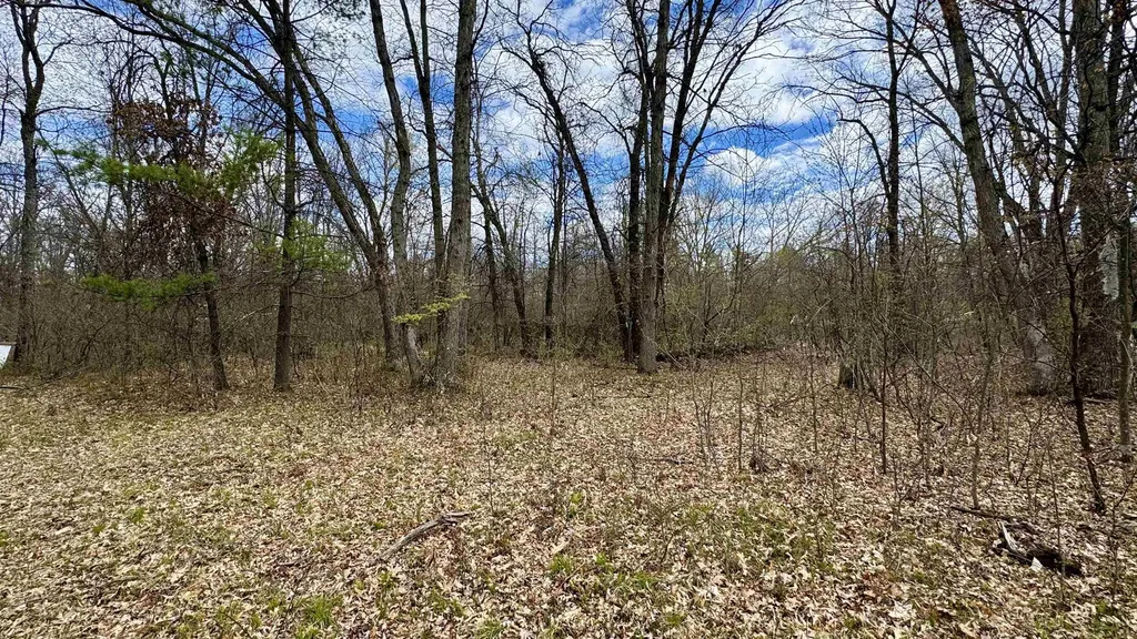 1496 17 Mile Road Middle Branch Township MI 49665
