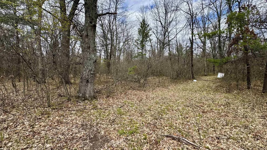 1496 17 Mile Road Middle Branch Township MI 49665