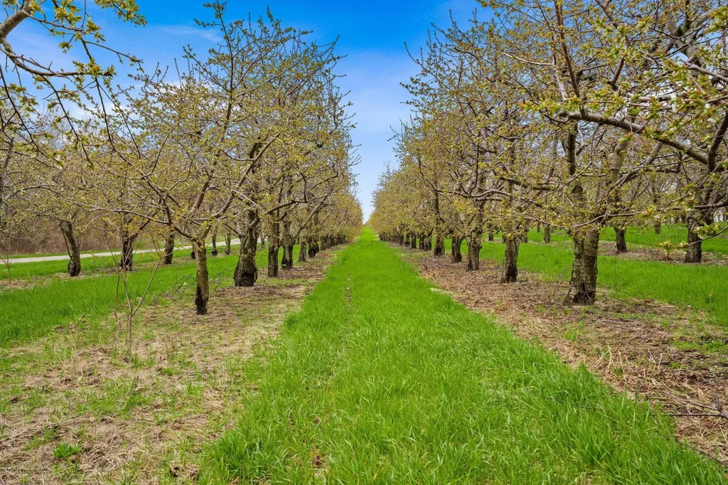 17835 Center Road Peninsula Township MI 49686