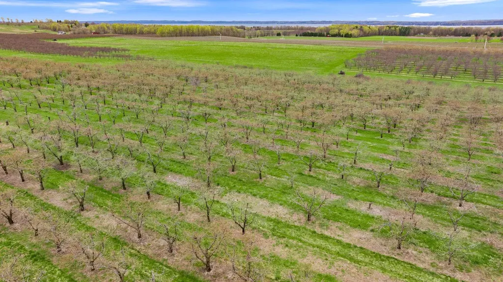 17835 Center Road Peninsula Township MI 49686