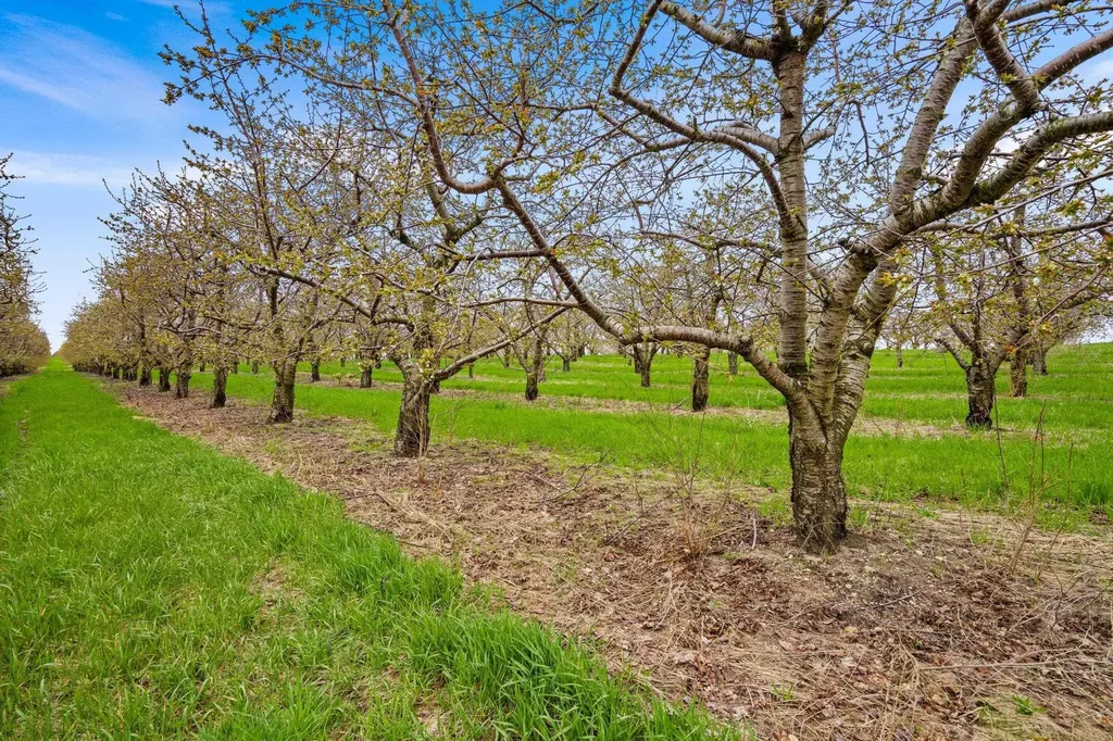 17835 Center Road Peninsula Township MI 49686