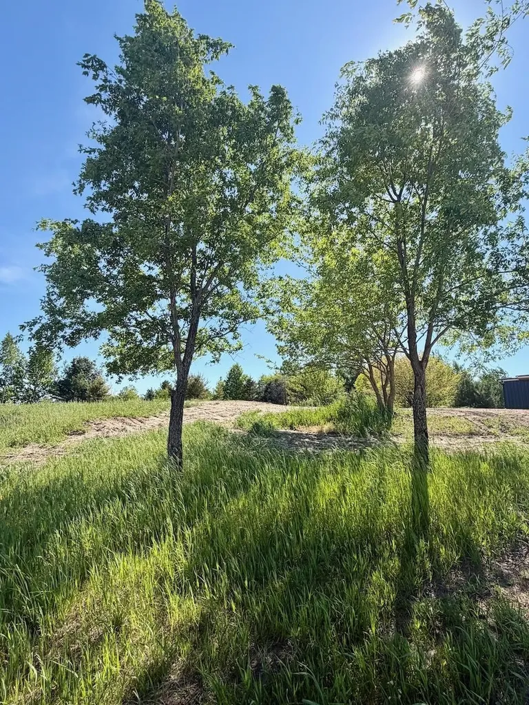 Lot B Aurora Vista Trail Whitewater Township MI 49690