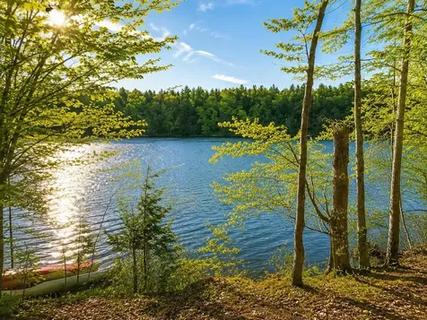 VL Acorn Ridge Trail Inland Township MI 49617