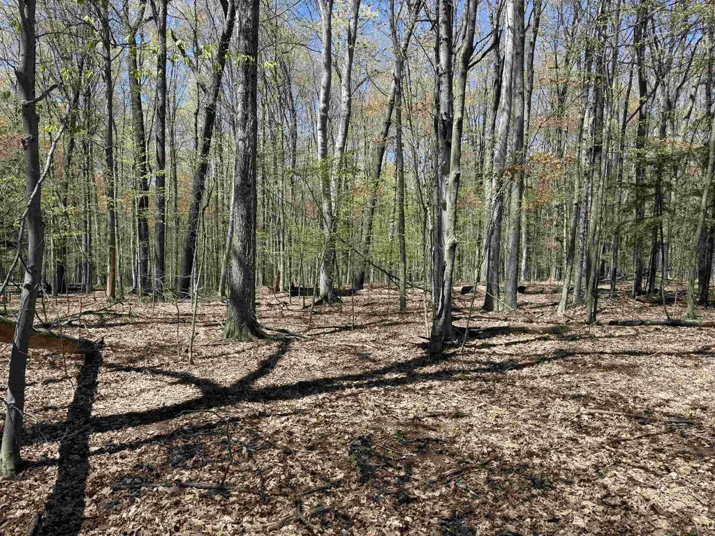 0000 Martin Road Platte Township MI 49640