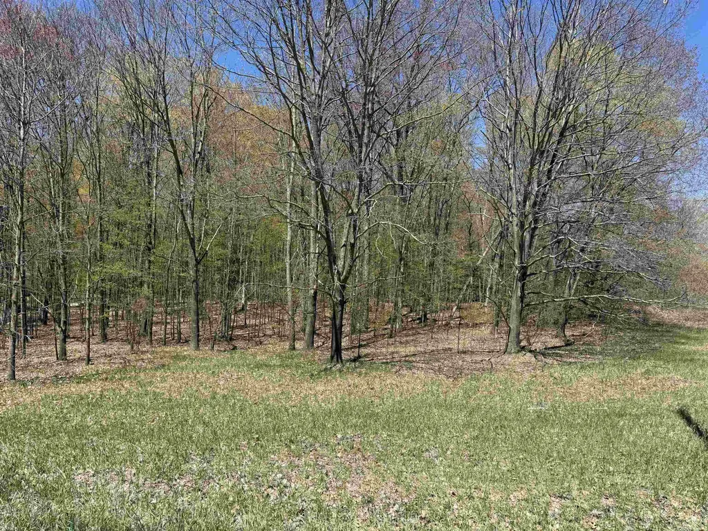 0000 Martin Road Platte Township MI 49640