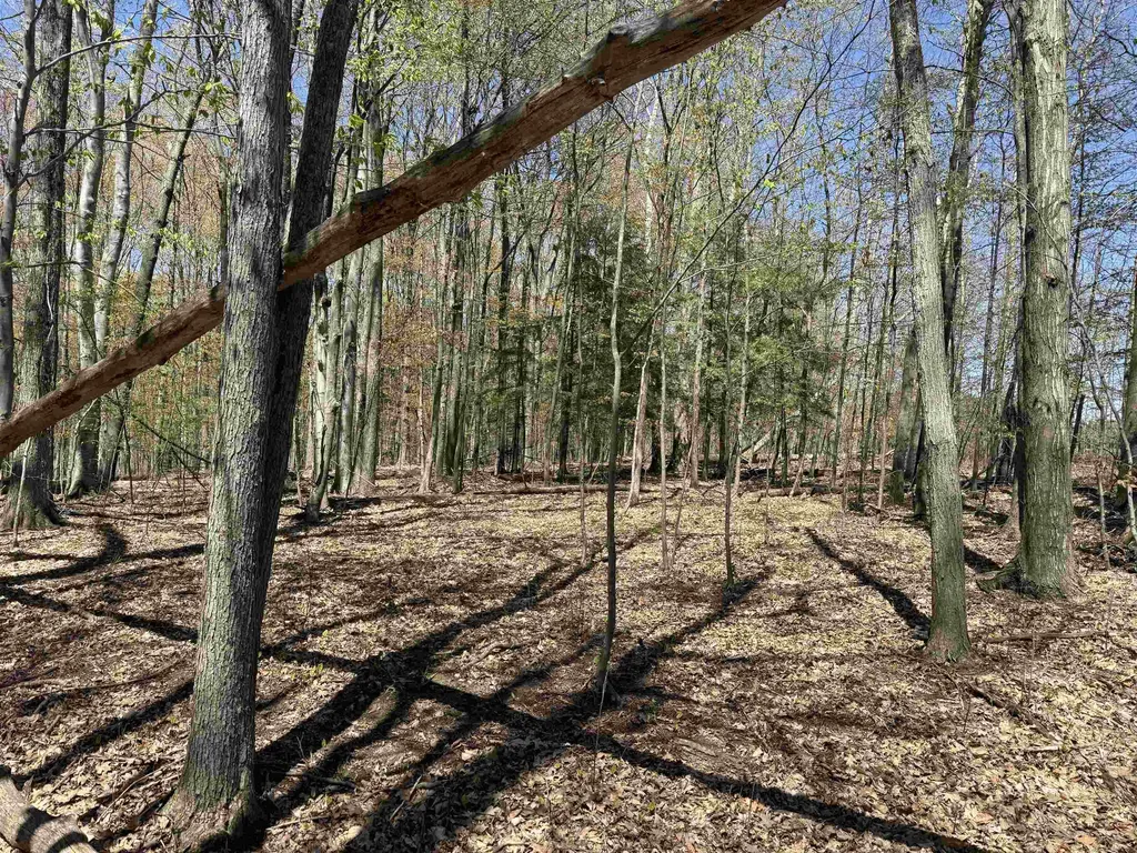 0000 Martin Road Platte Township MI 49640