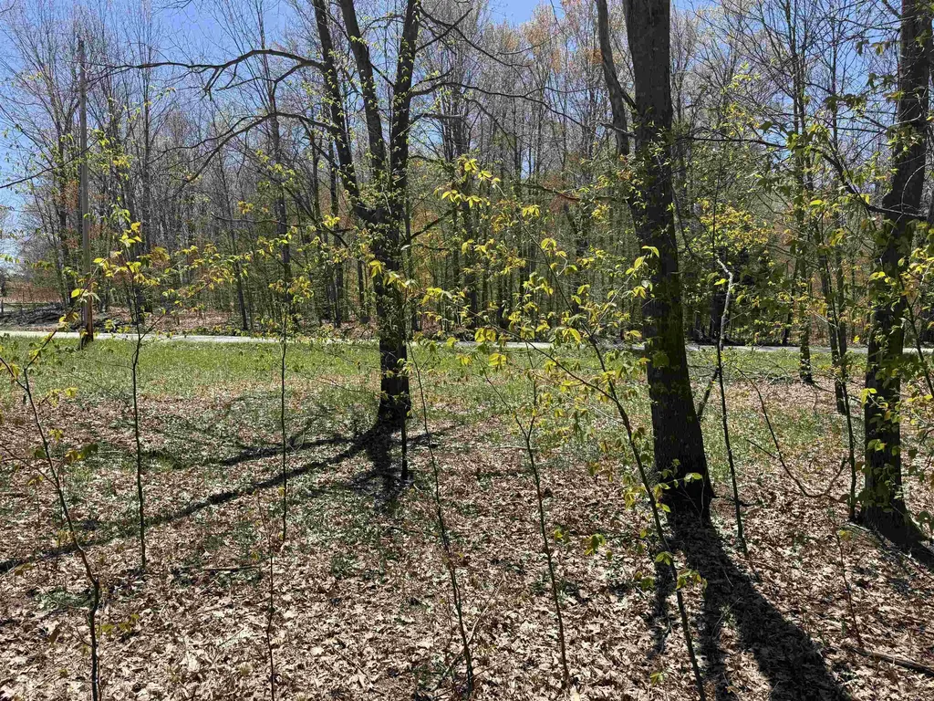 0000 Martin Road Platte Township MI 49640