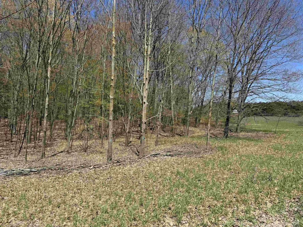 0000 Martin Road Platte Township MI 49640
