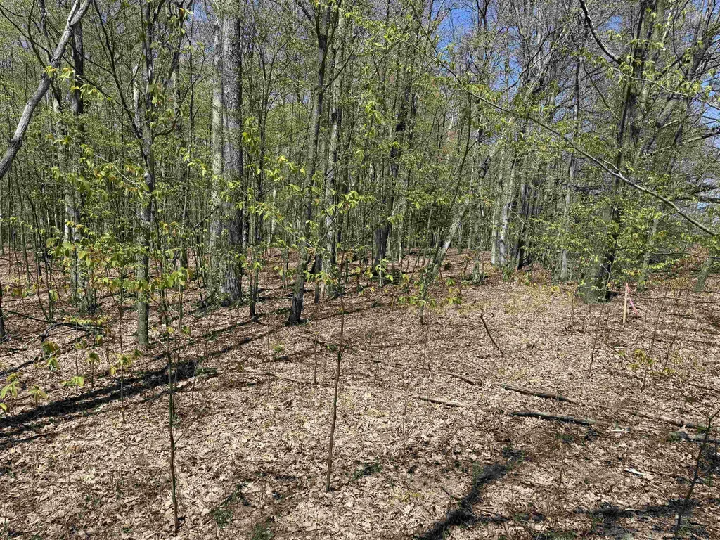 0000 Martin Road Platte Township MI 49640