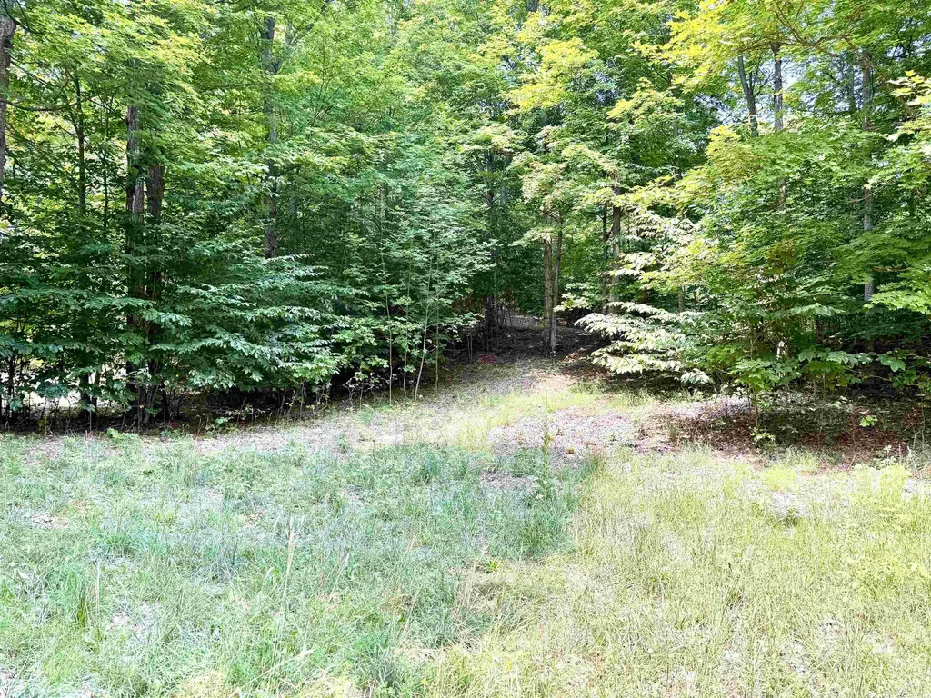 0015 S Mistys Trail Empire Township MI 49630