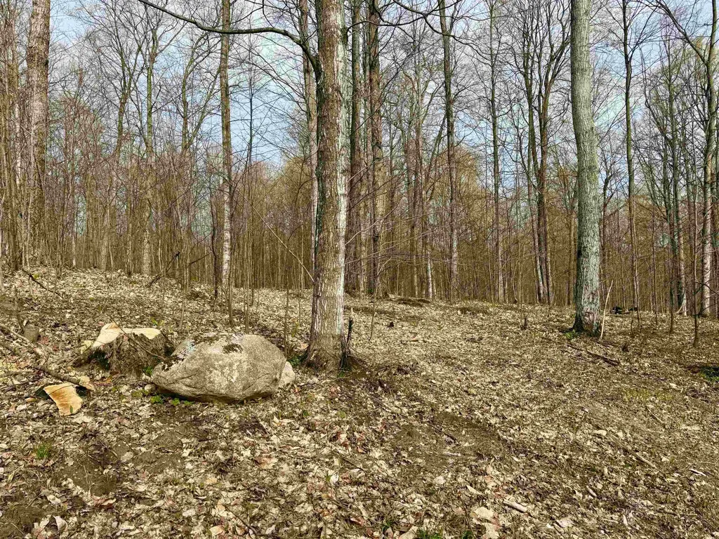 0015 S Mistys Trail Empire Township MI 49630