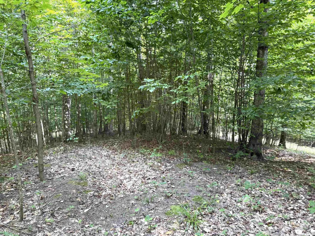 0015 S Mistys Trail Empire Township MI 49630
