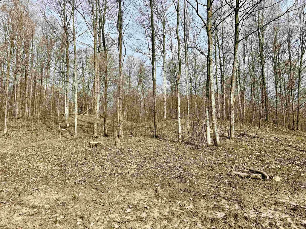 0015 S Mistys Trail Empire Township MI 49630