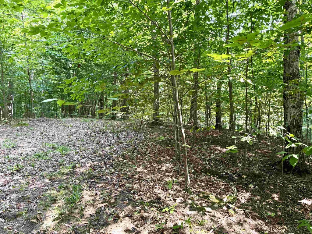 0015 S Mistys Trail Empire Township MI 49630