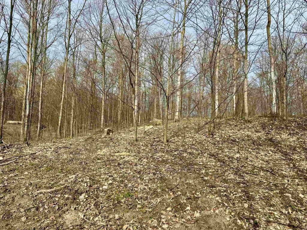 0015 S Mistys Trail Empire Township MI 49630