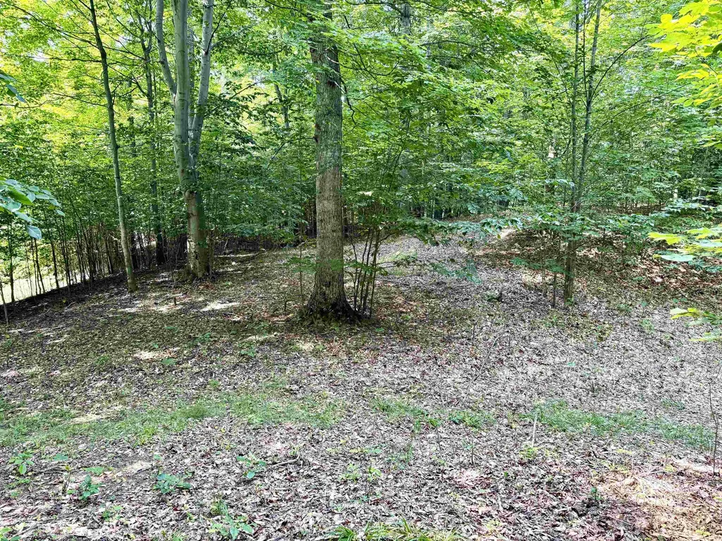 0015 S Mistys Trail Empire Township MI 49630