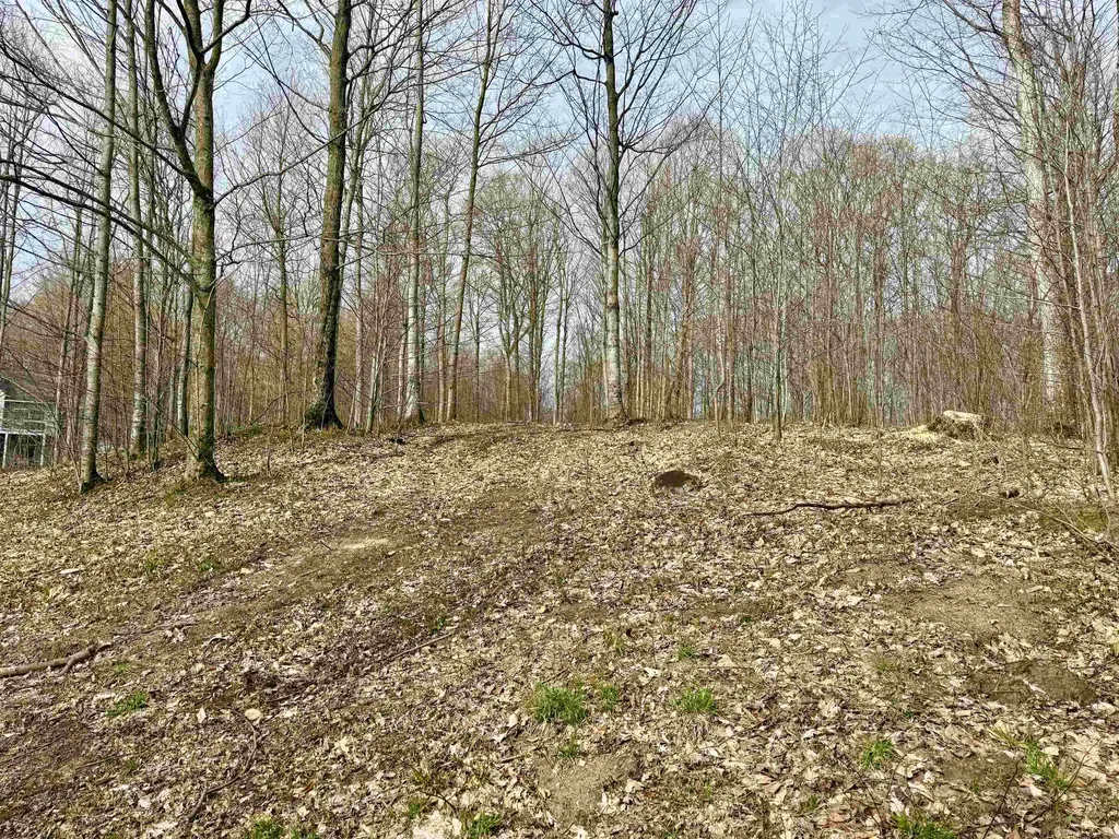 0015 S Mistys Trail Empire Township MI 49630