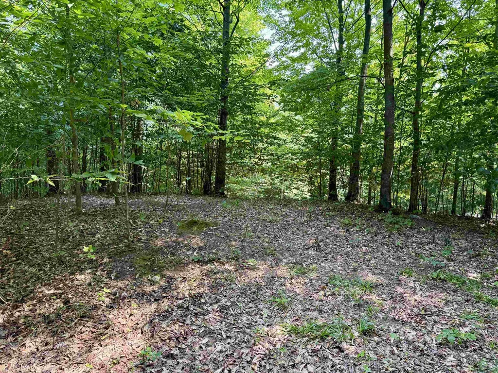 0015 S Mistys Trail Empire Township MI 49630