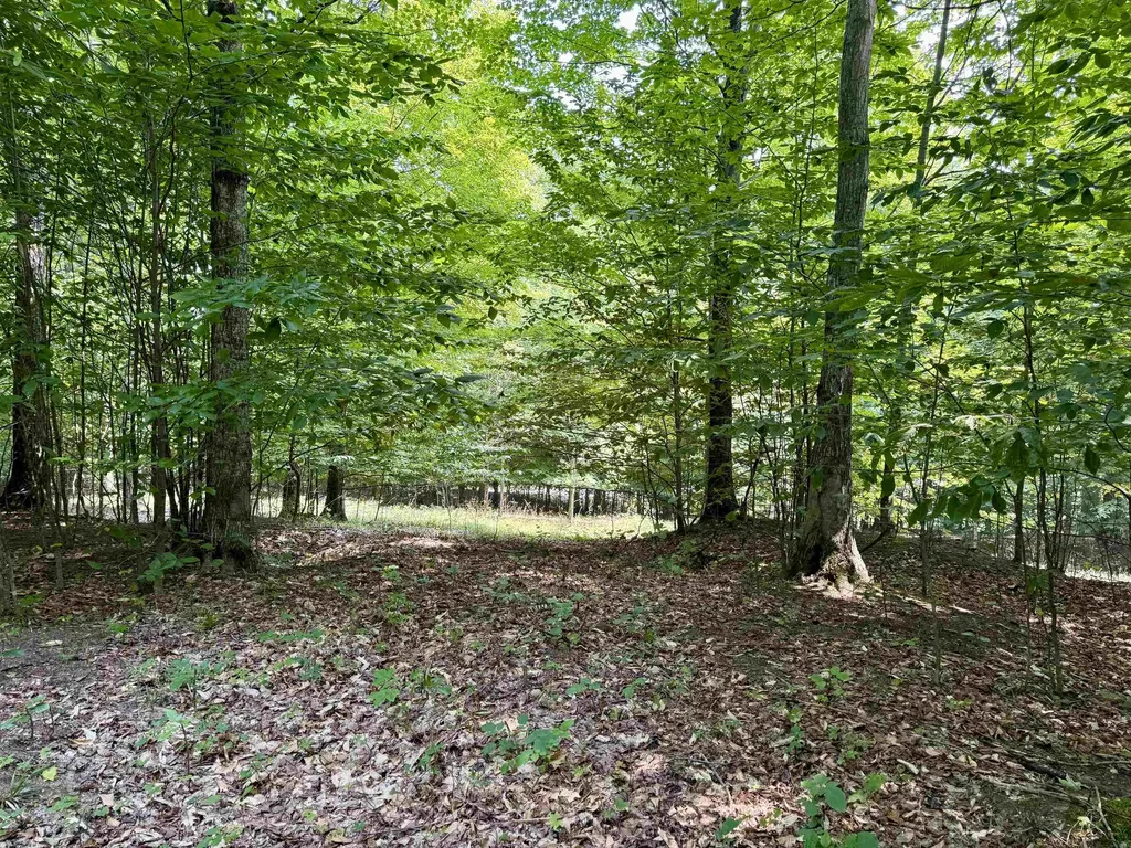 0015 S Mistys Trail Empire Township MI 49630