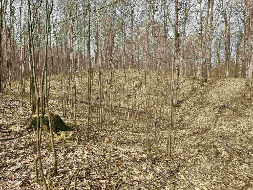 0015 S Mistys Trail Empire Township MI 49630