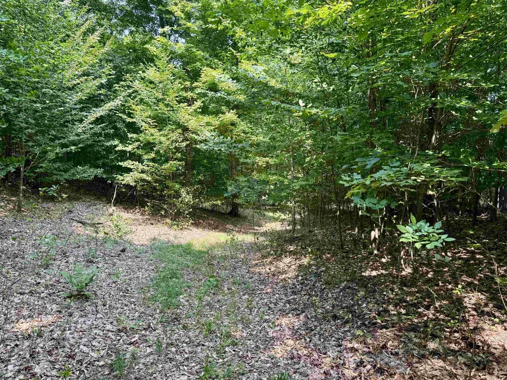 0015 S Mistys Trail Empire Township MI 49630