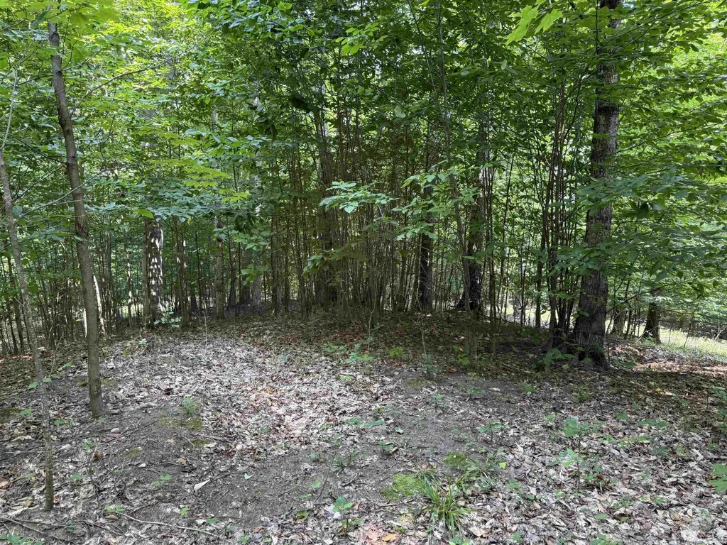 0015 S Mistys Trail Empire Township MI 49630