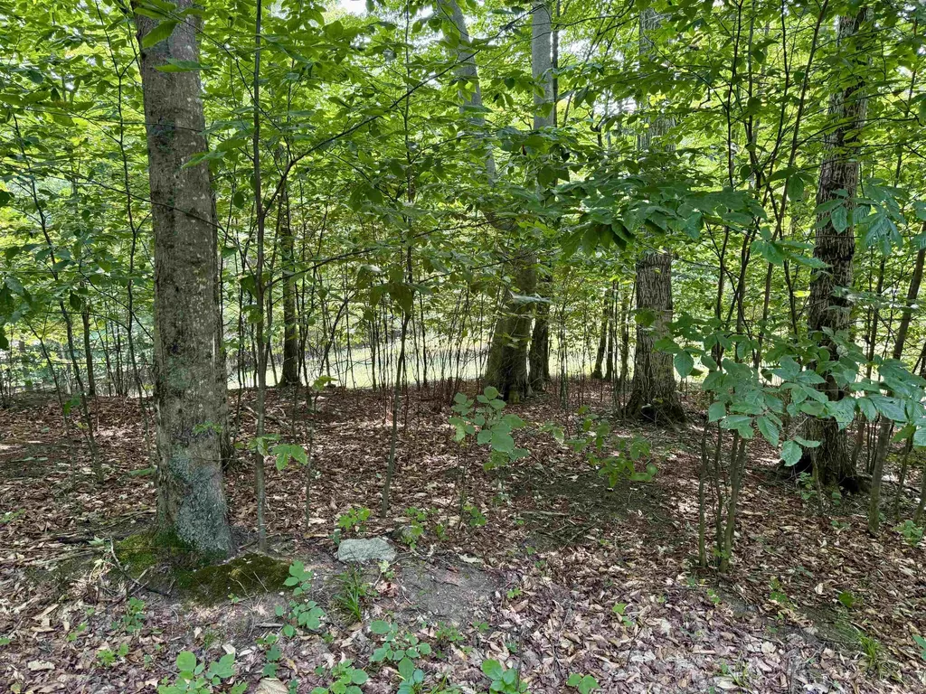 0015 S Mistys Trail Empire Township MI 49630