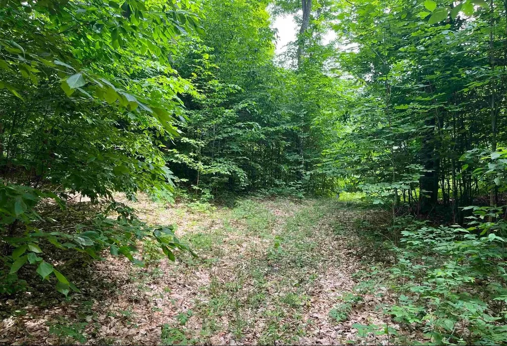 0015 S Mistys Trail Empire Township MI 49630