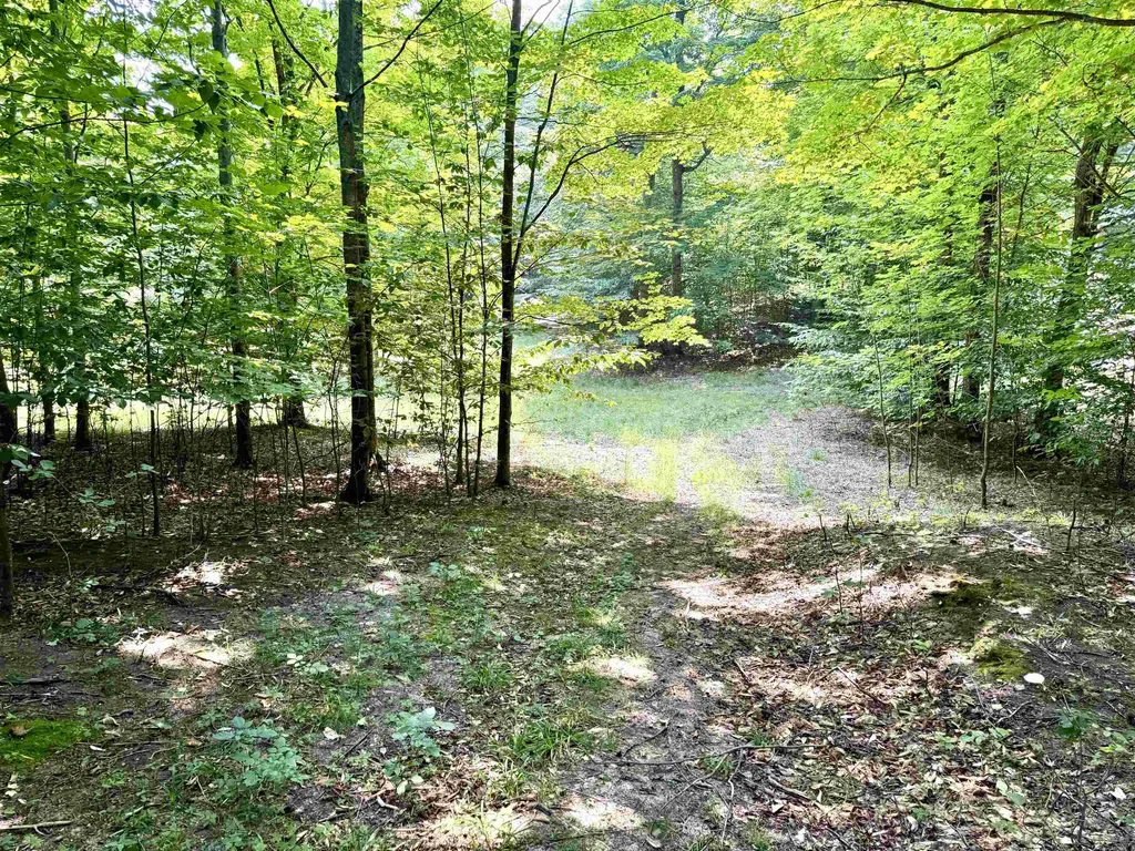 0015 S Mistys Trail Empire Township MI 49630