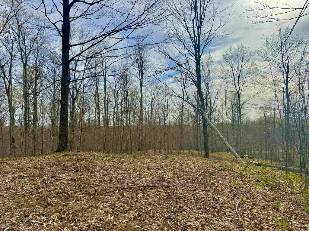 0015 S Mistys Trail Empire Township MI 49630