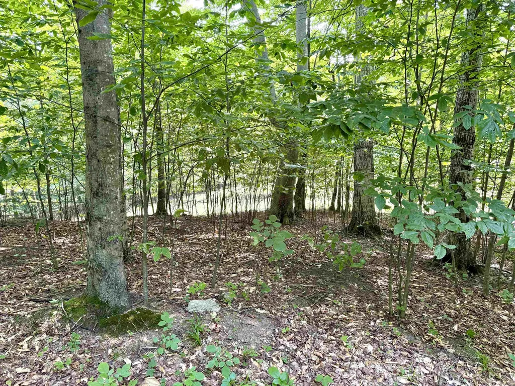 0015 S Mistys Trail Empire Township MI 49630