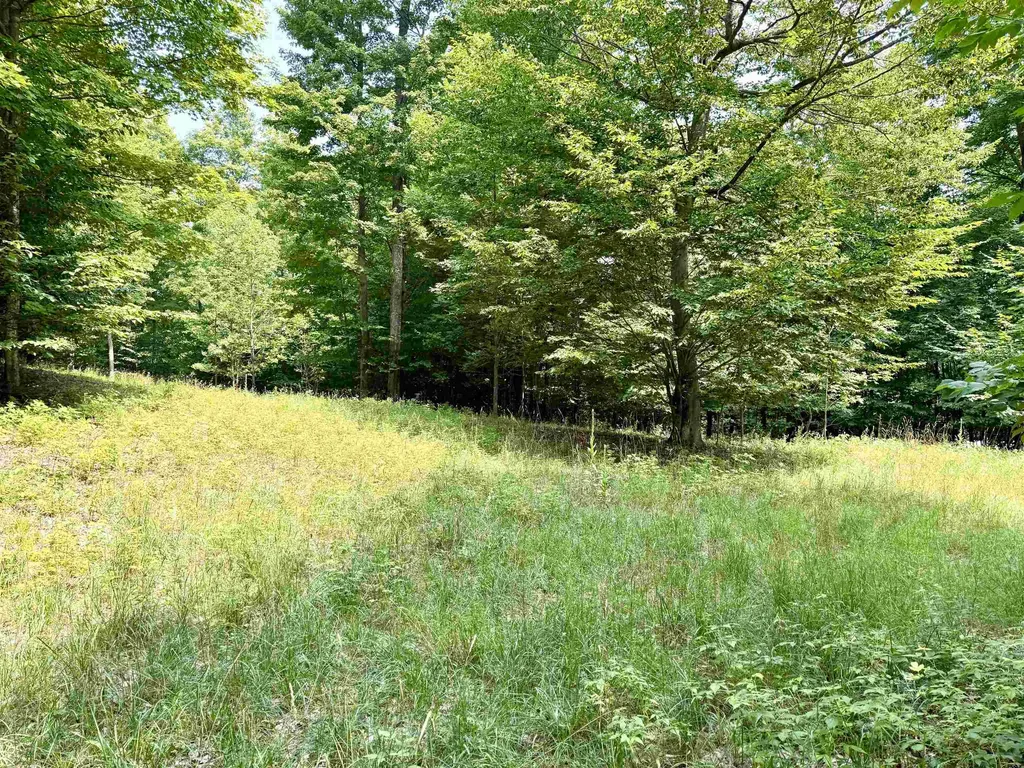 0015 S Mistys Trail Empire Township MI 49630