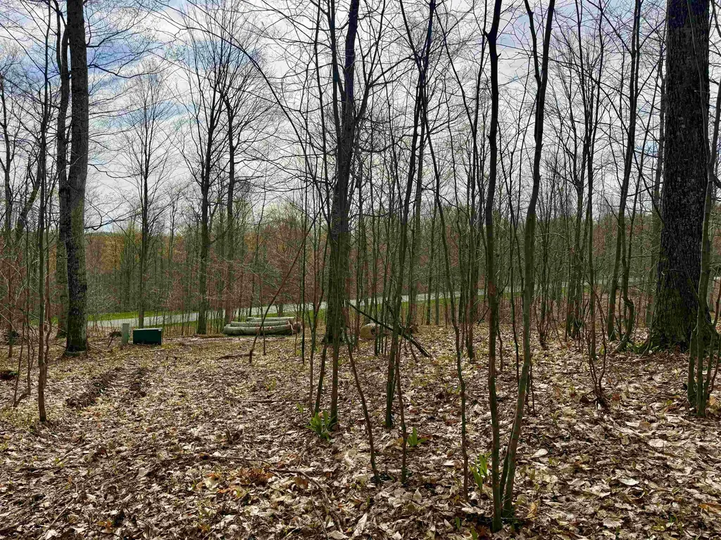 0015 S Mistys Trail Empire Township MI 49630