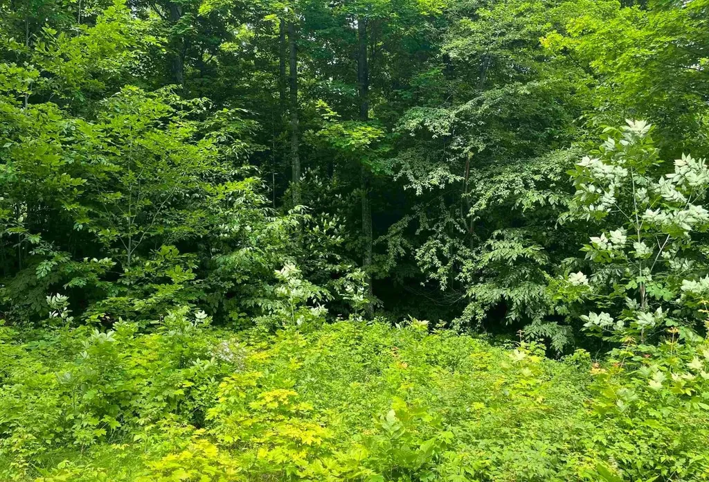 0015 S Mistys Trail Empire Township MI 49630