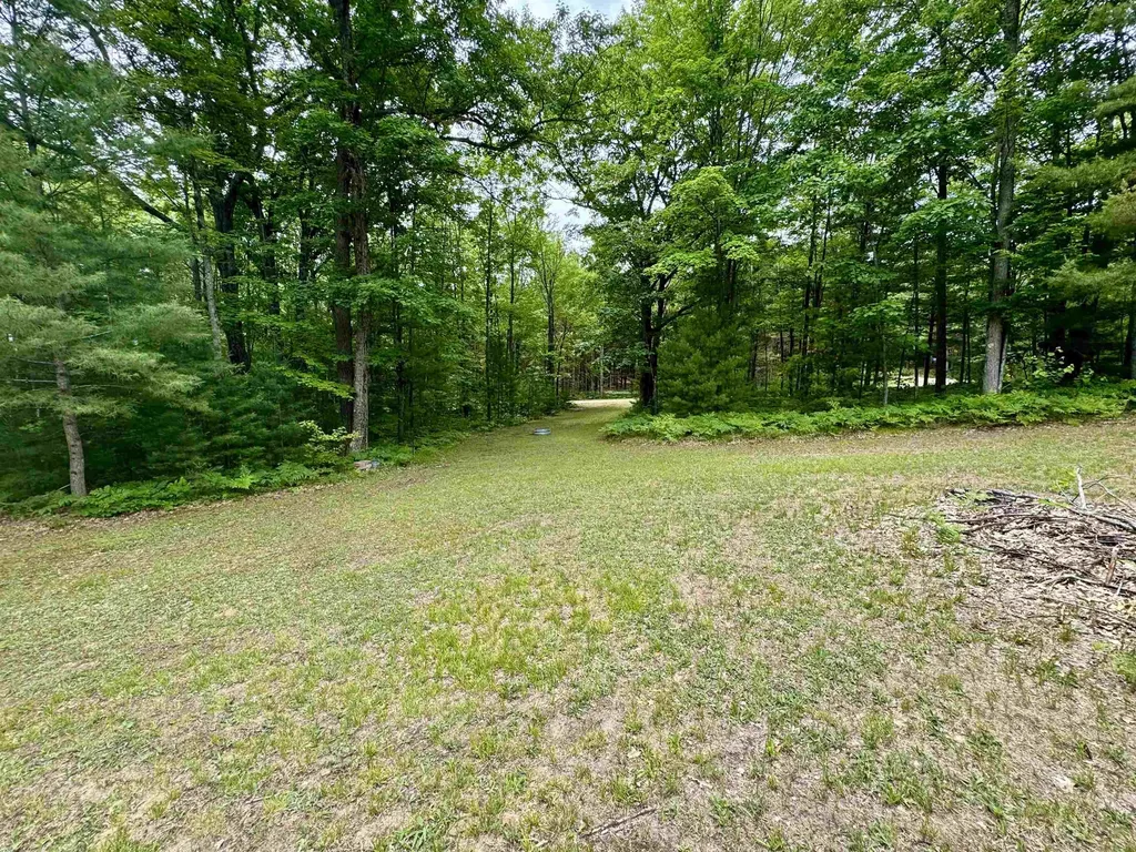 4247 SW Bald Eagles View Boardman Township MI 49680
