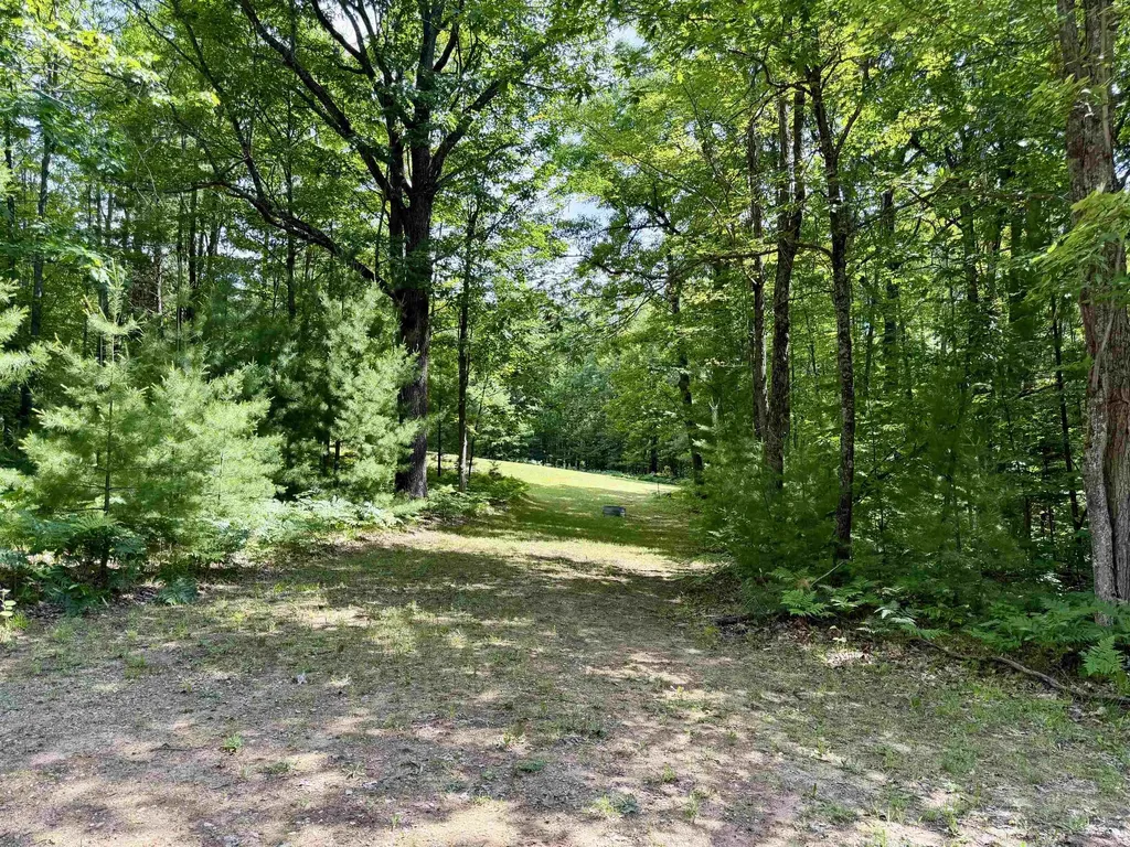 4247 SW Bald Eagles View Boardman Township MI 49680