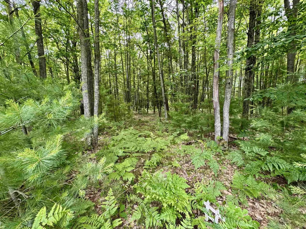 4247 SW Bald Eagles View Boardman Township MI 49680