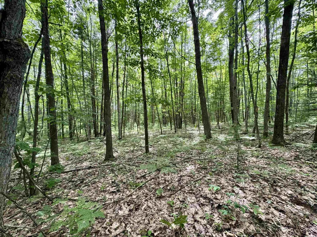 4247 SW Bald Eagles View Boardman Township MI 49680