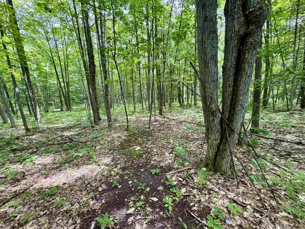 4247 SW Bald Eagles View Boardman Township MI 49680