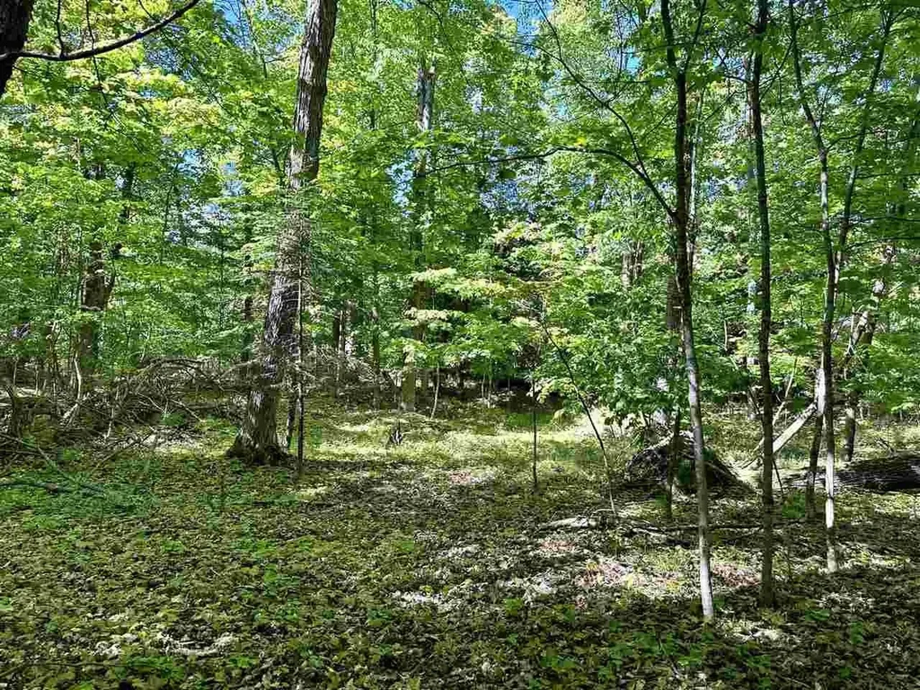 Lots 56 & 57 Spaulding Drive Peaine Township MI 49782