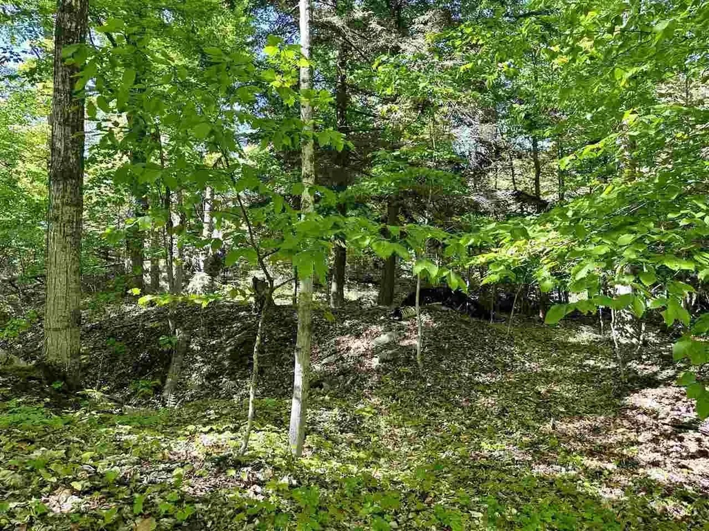 Lots 56 & 57 Spaulding Drive Peaine Township MI 49782