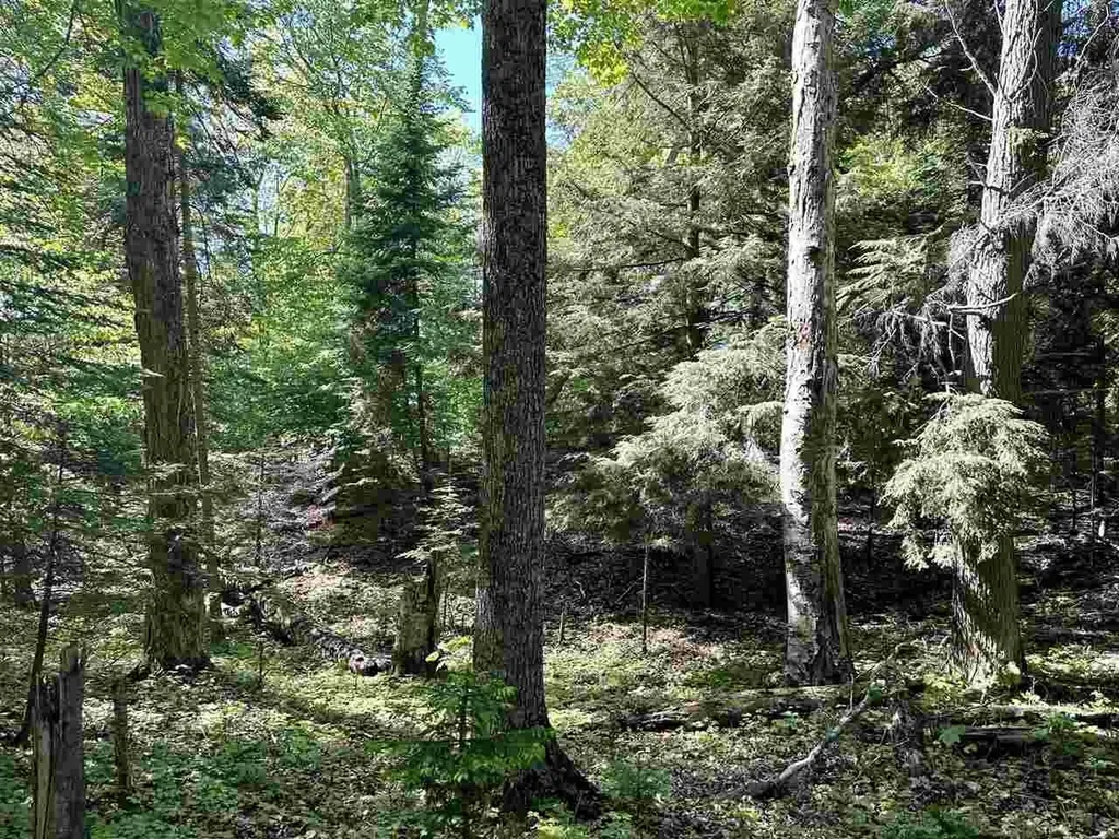 Lots 56 & 57 Spaulding Drive Peaine Township MI 49782