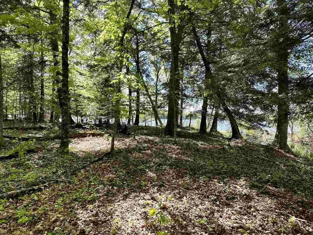 Lots 56 & 57 Spaulding Drive Peaine Township MI 49782