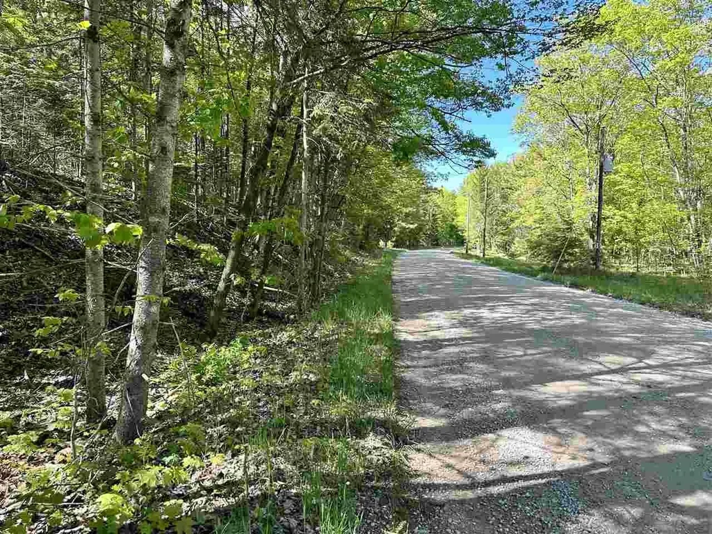 Lots 56 & 57 Spaulding Drive Peaine Township MI 49782